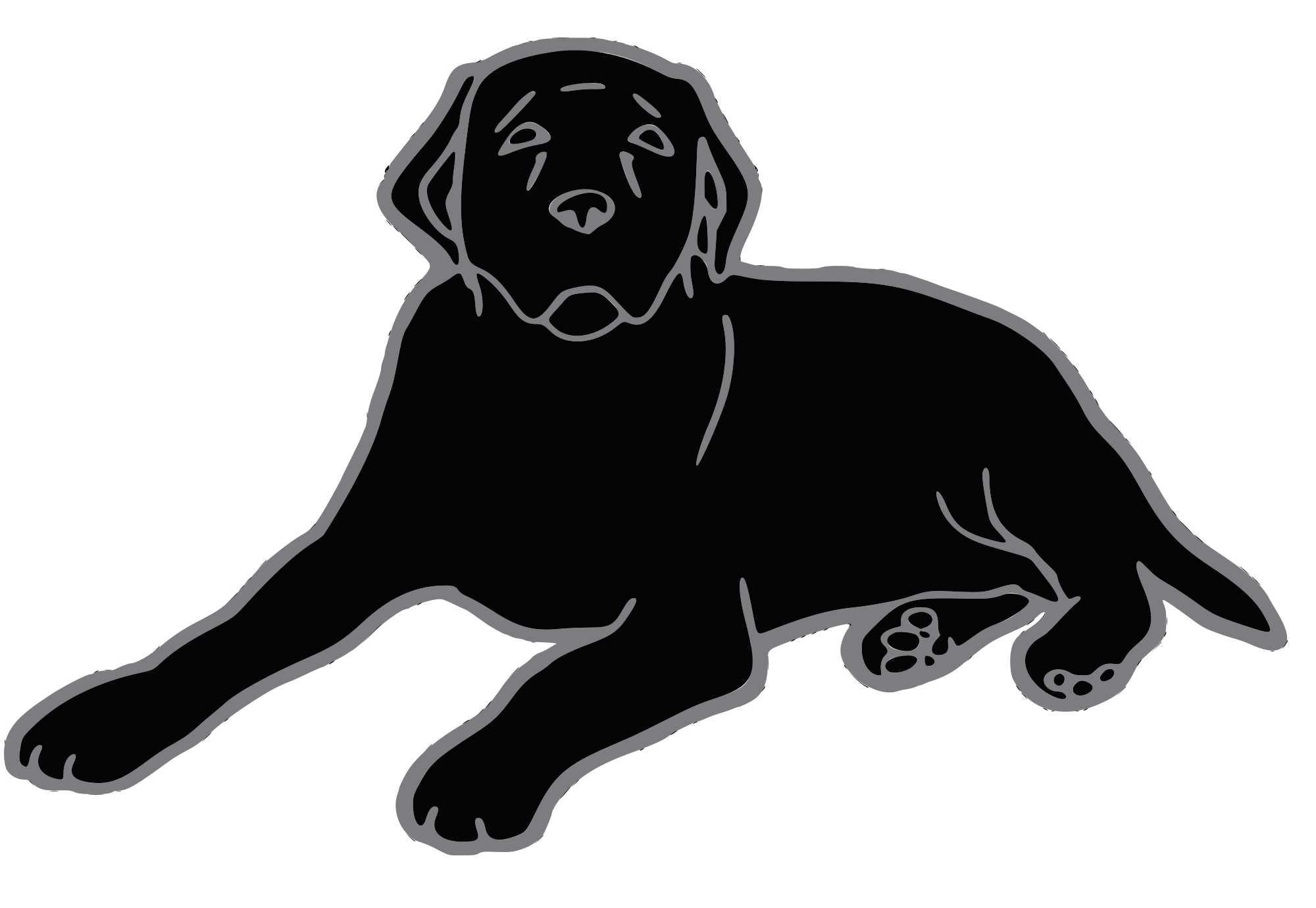 Black Dog Television Logo