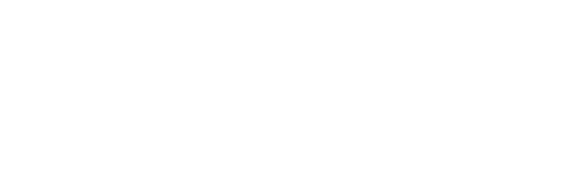 NO BLINK Group Logo