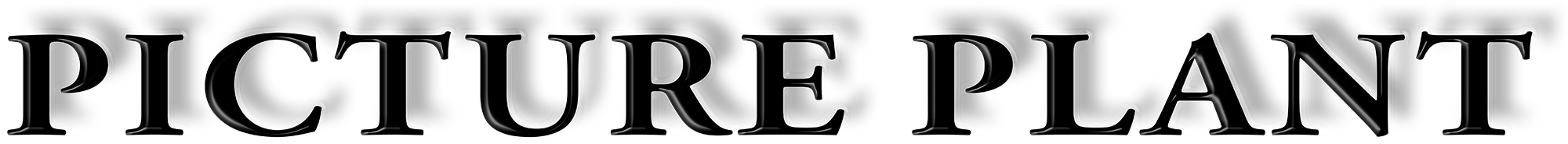 Picture Plant Logo