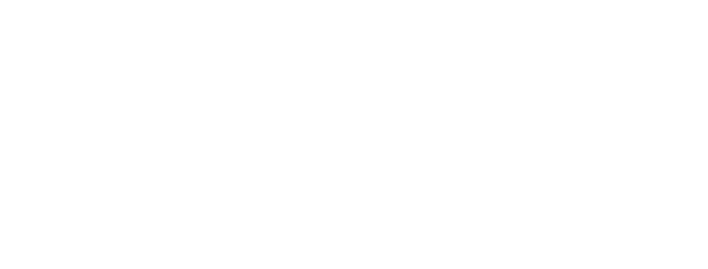 Professional Fighters League Logo