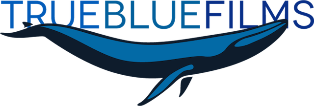 True Blue Films Logo