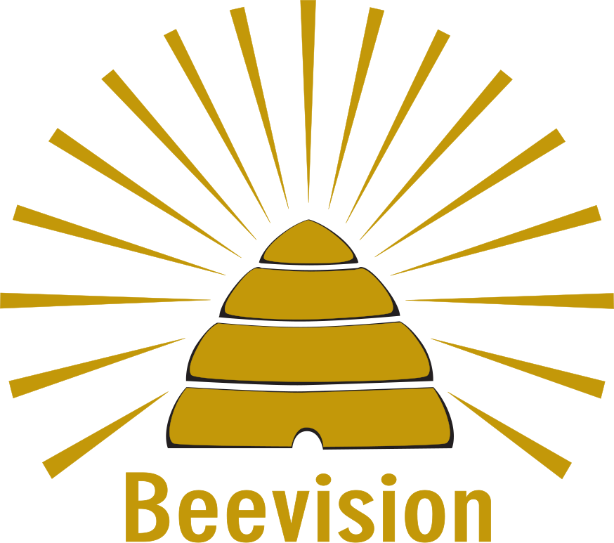Beevision Logo