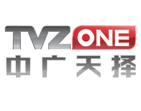 TVZone Media Logo