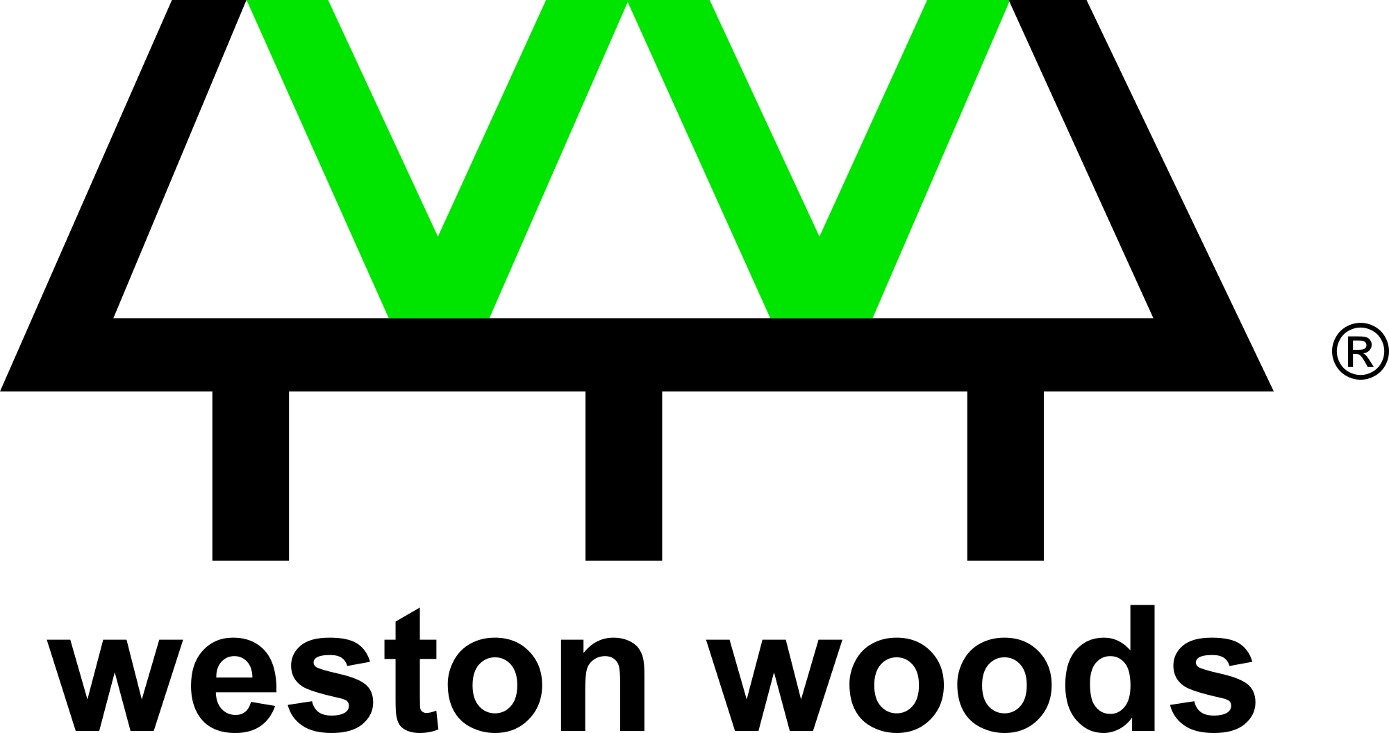 Weston Woods Studios Logo