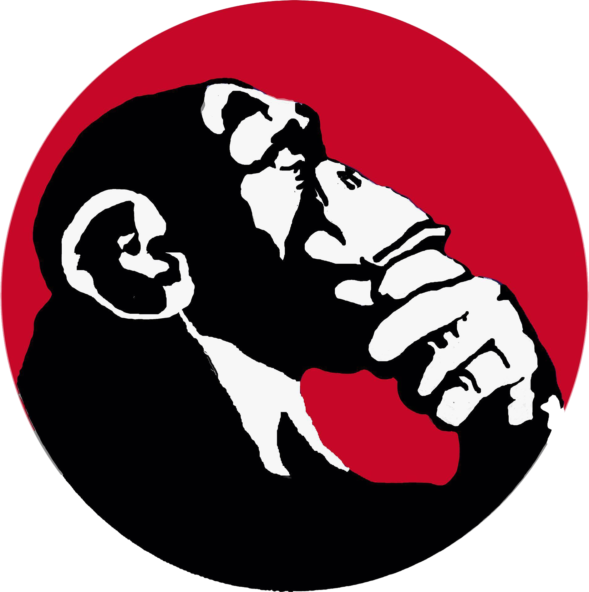 A.P.E Art Projects Era Logo