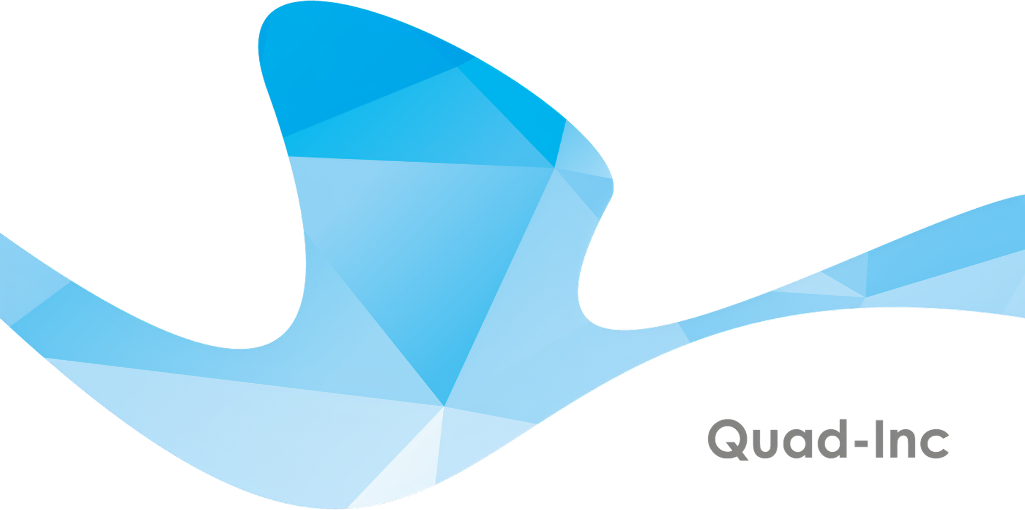 Quad Logo