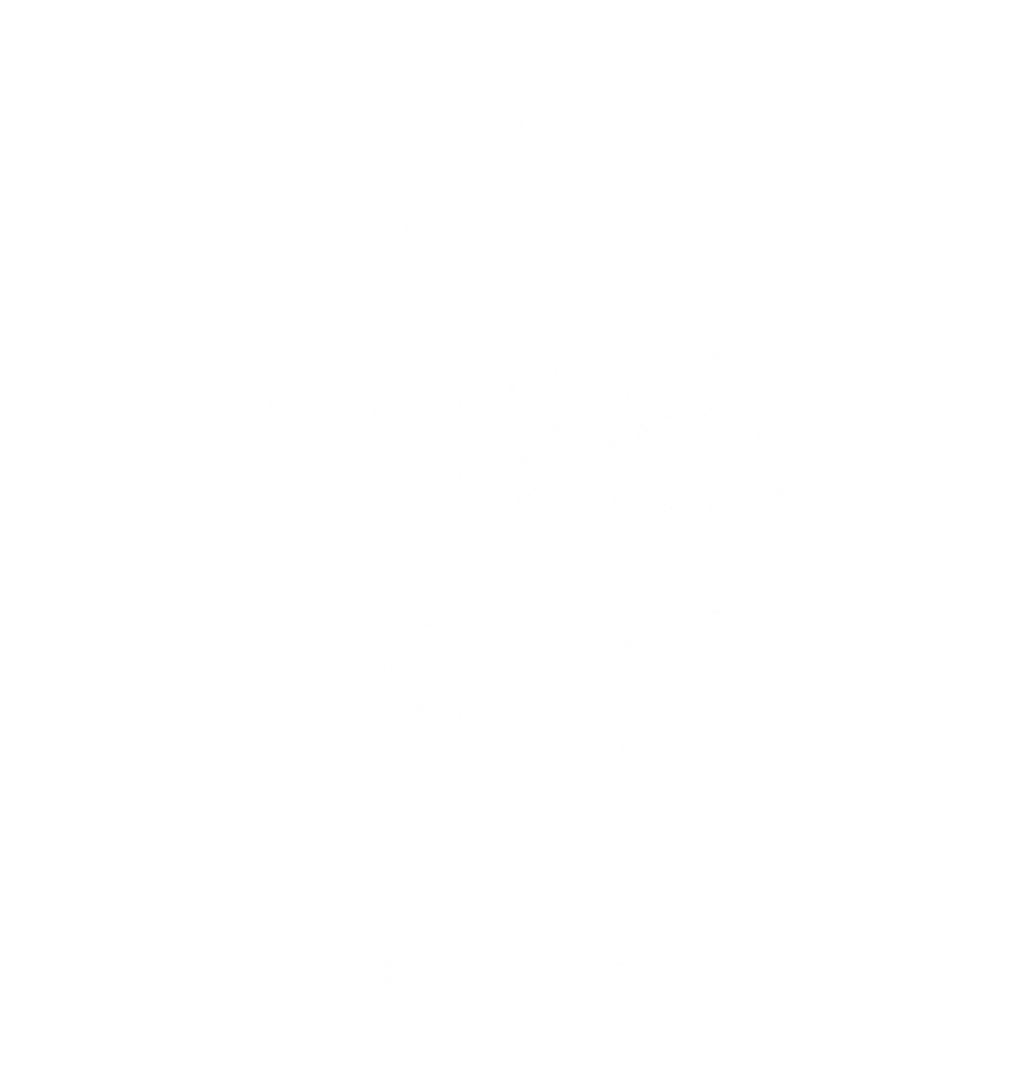 Northern Sheep Cinema Logo