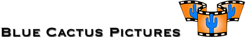 Blue Cactus Pictures Logo