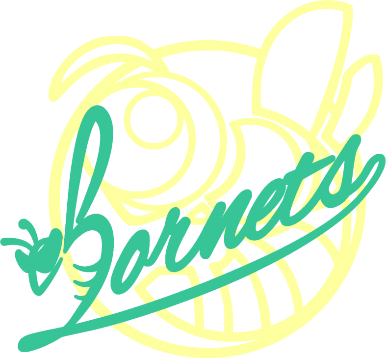 HORNETS Logo