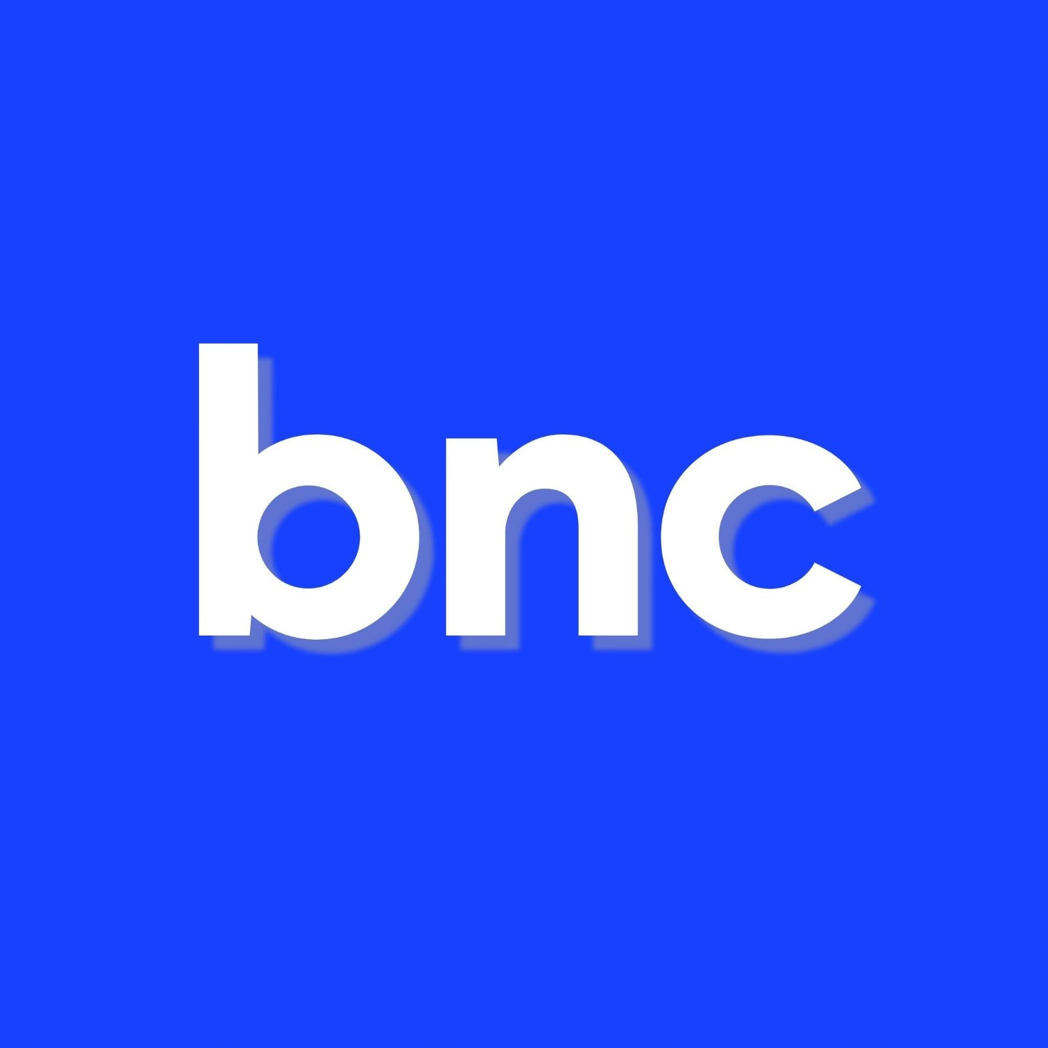 Blue and Co. Logo