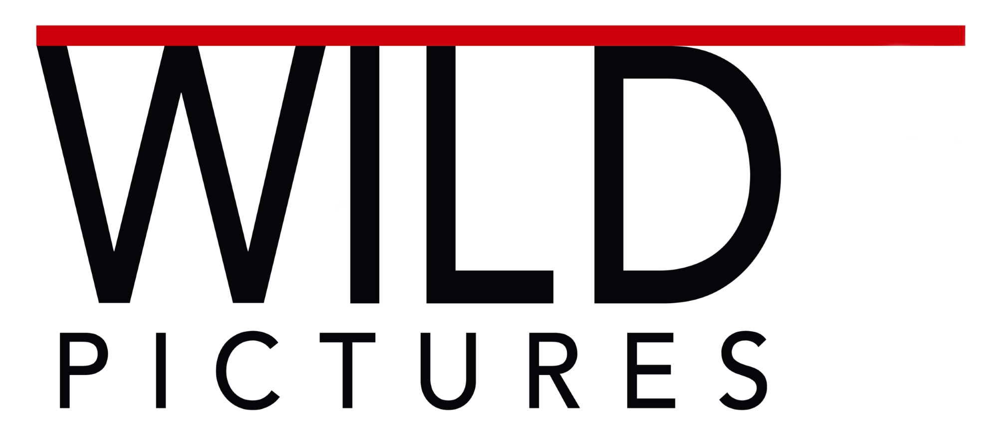 Wild Pictures Logo