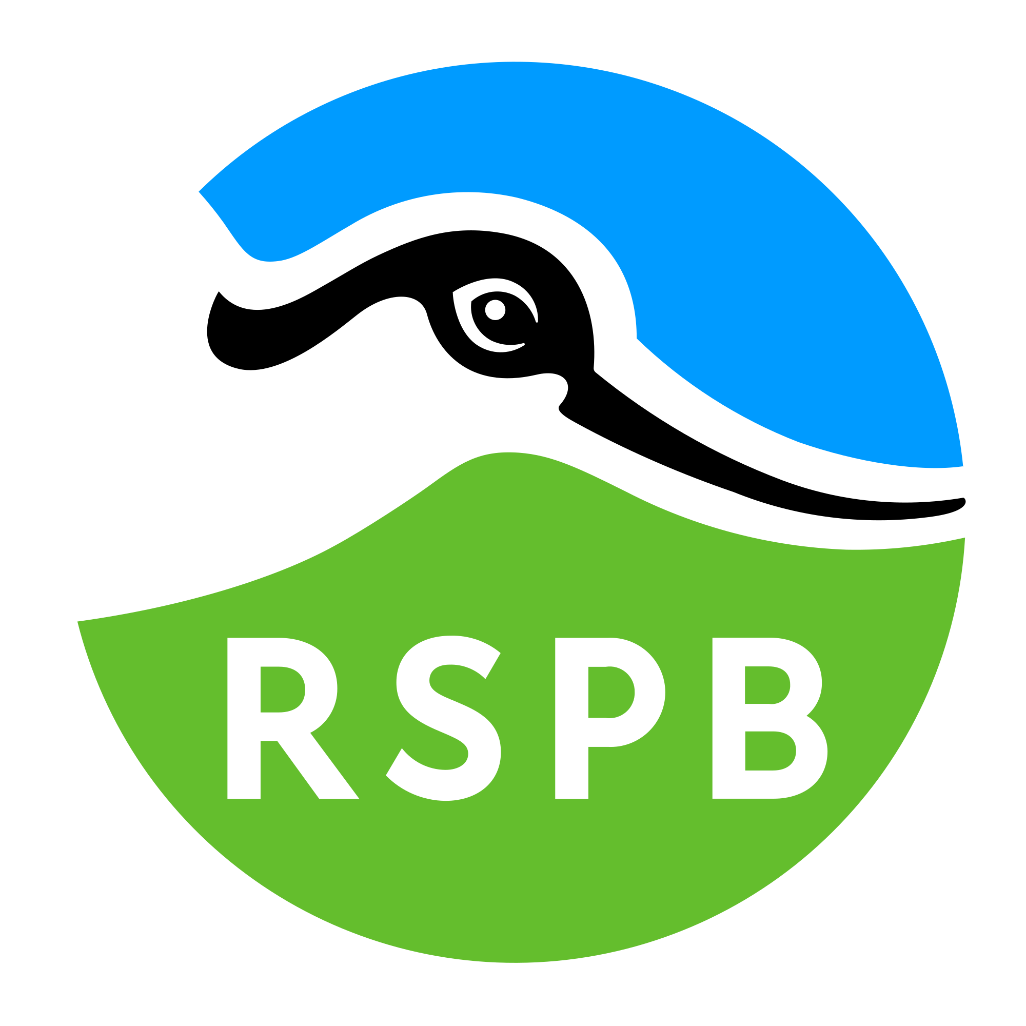 RSPB Logo