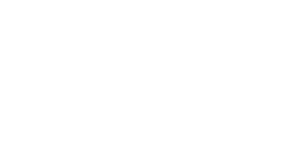 blu Logo