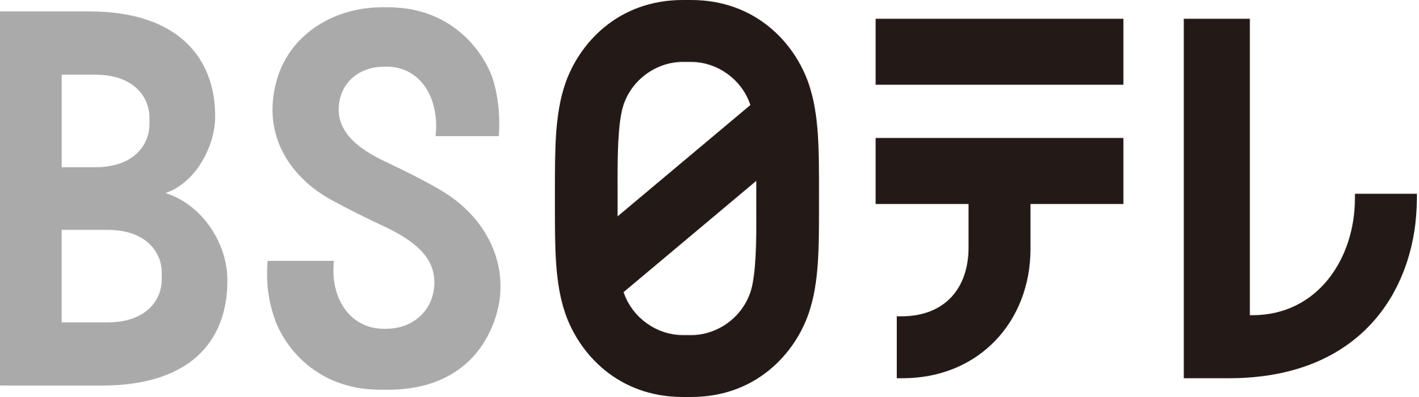 BS Nippon Corporation Logo