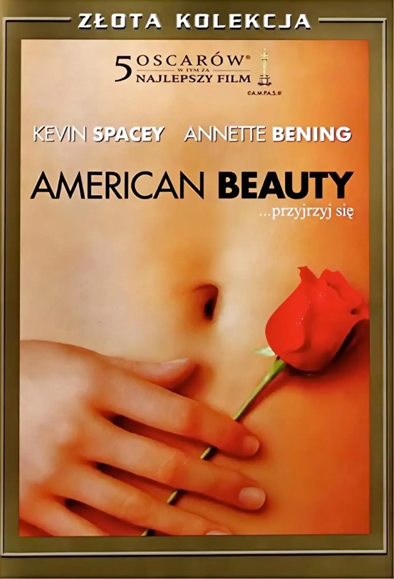 Plakat filmowy "American Beauty"