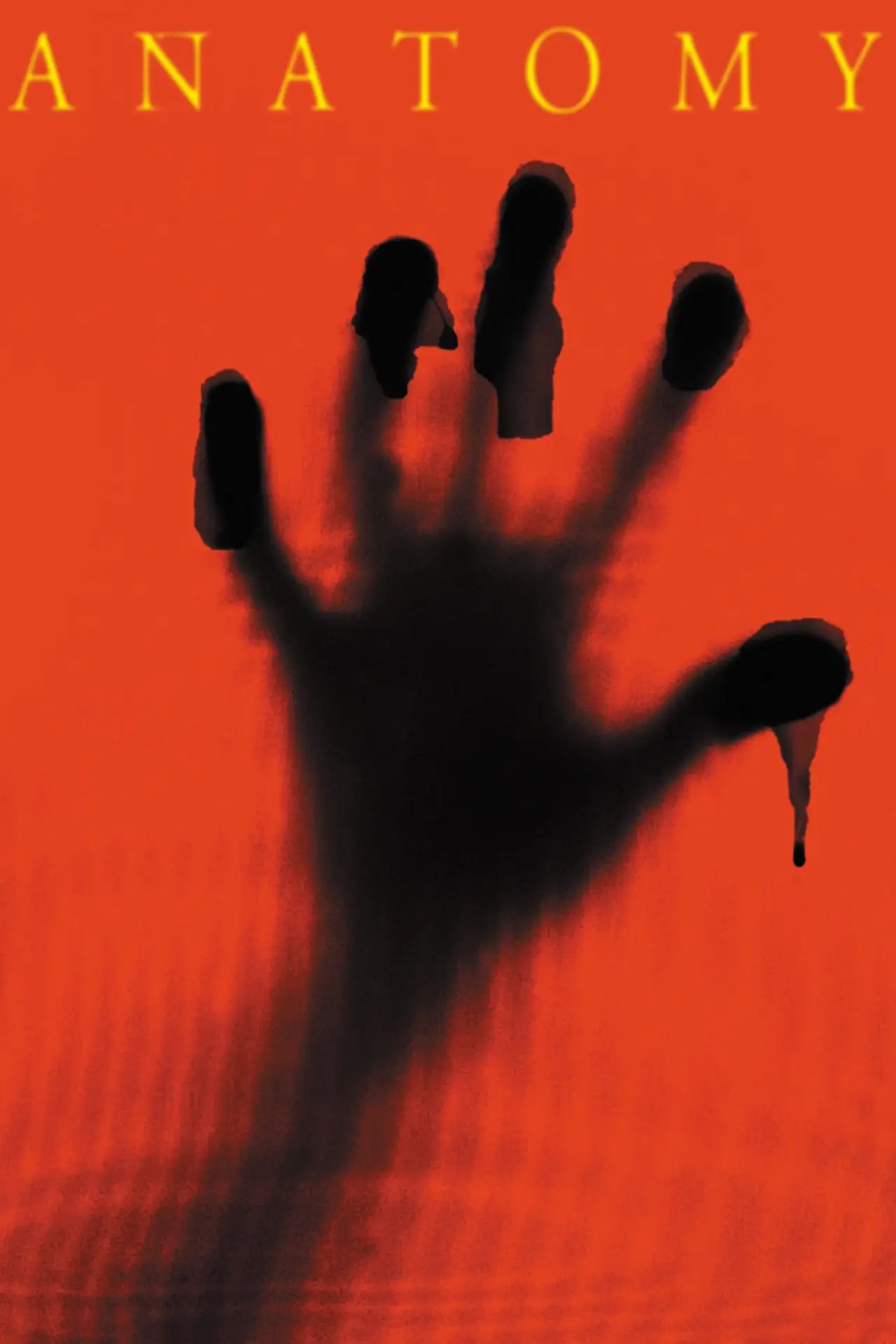 Plakat filmowy "Anatomia"