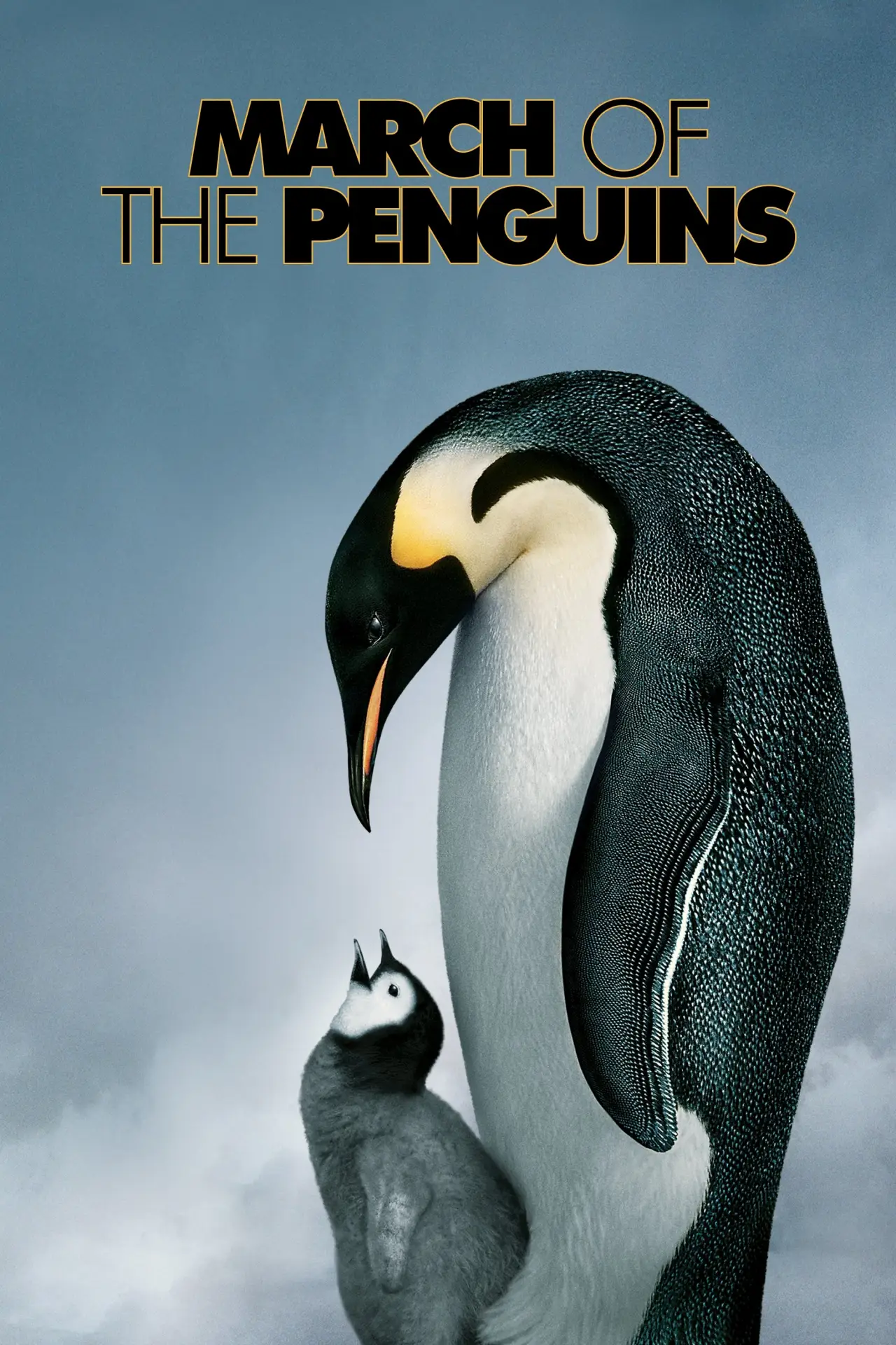 Plakat filmowy "Marsz pingwinów"