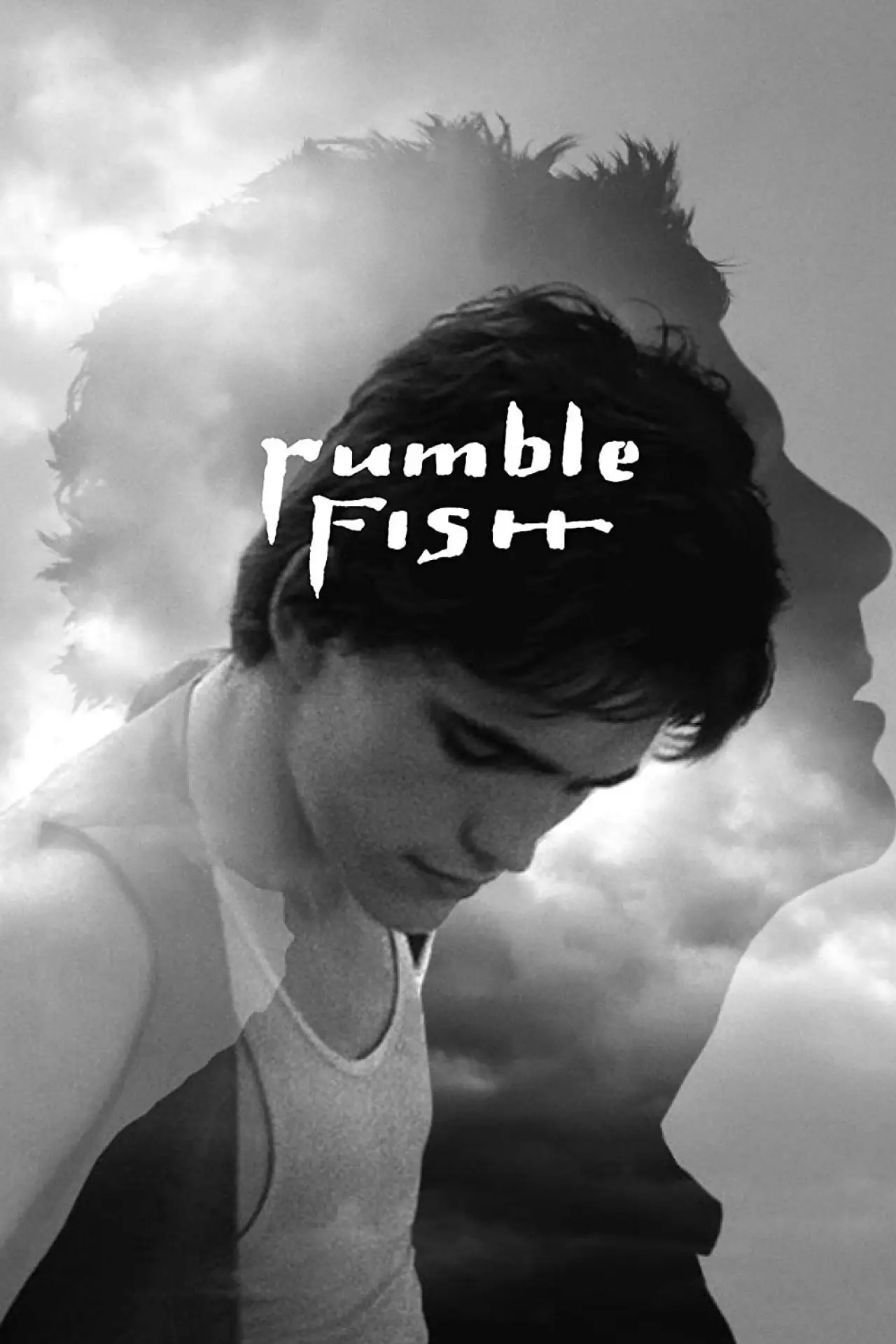 Plakat filmowy "Rumble Fish"