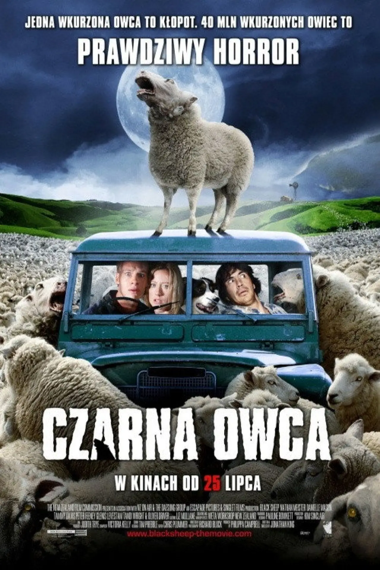 Plakat filmowy "Czarna owca"