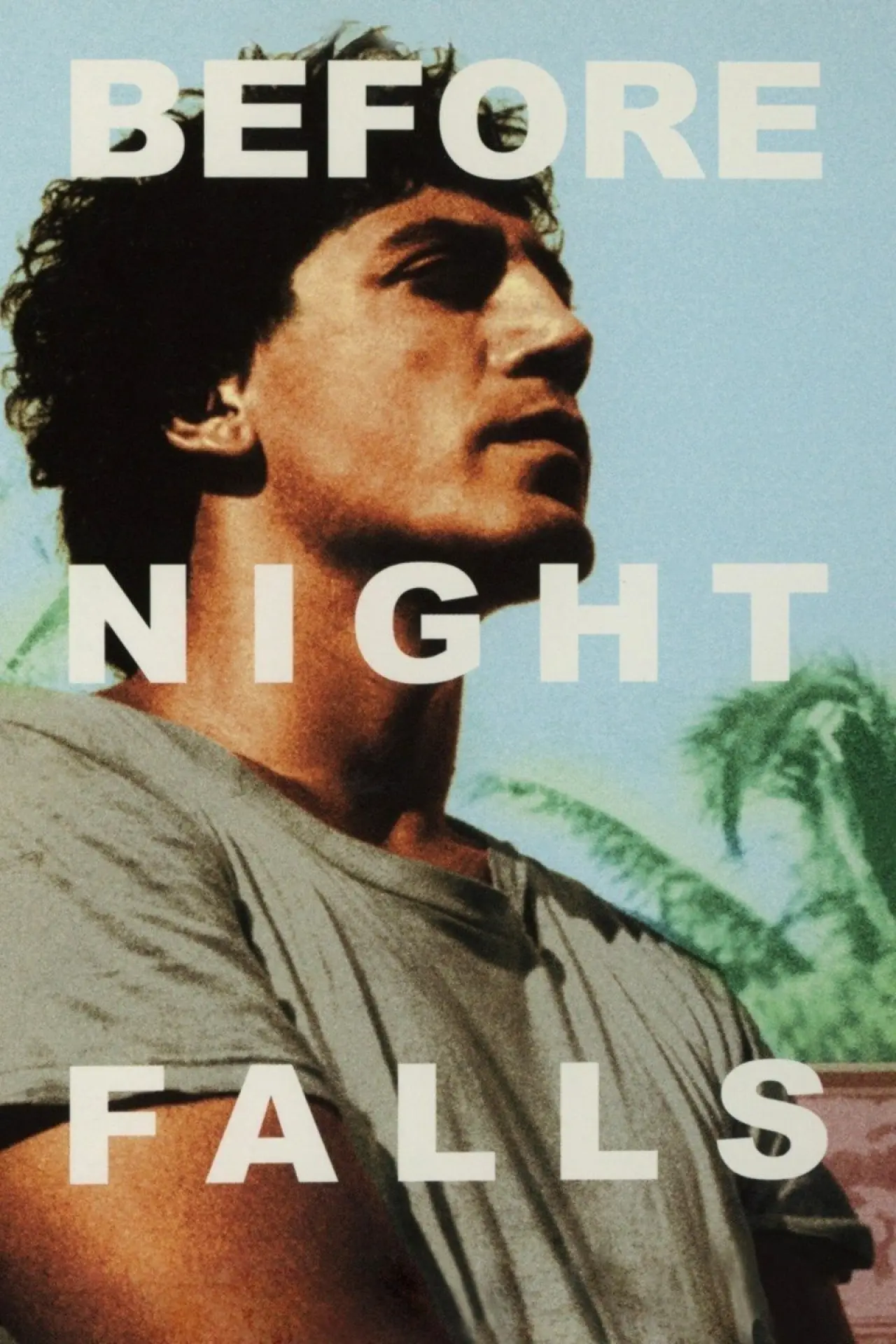 Plakat filmowy "Zanim zapadnie noc"