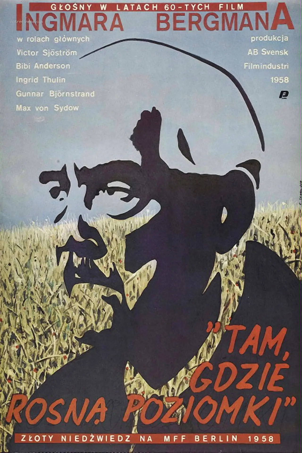 Plakat filmowy "Tam, gdzie rosną poziomki"