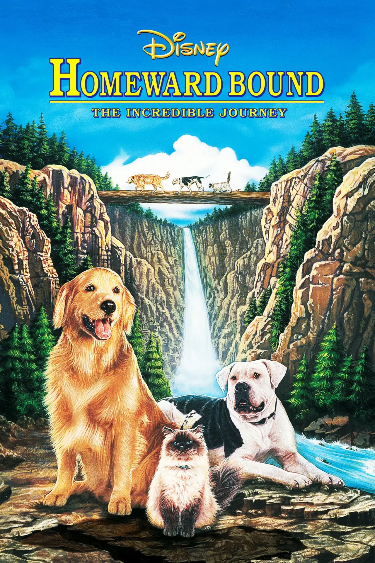 Plakat filmowy "Niezwykła podróż"