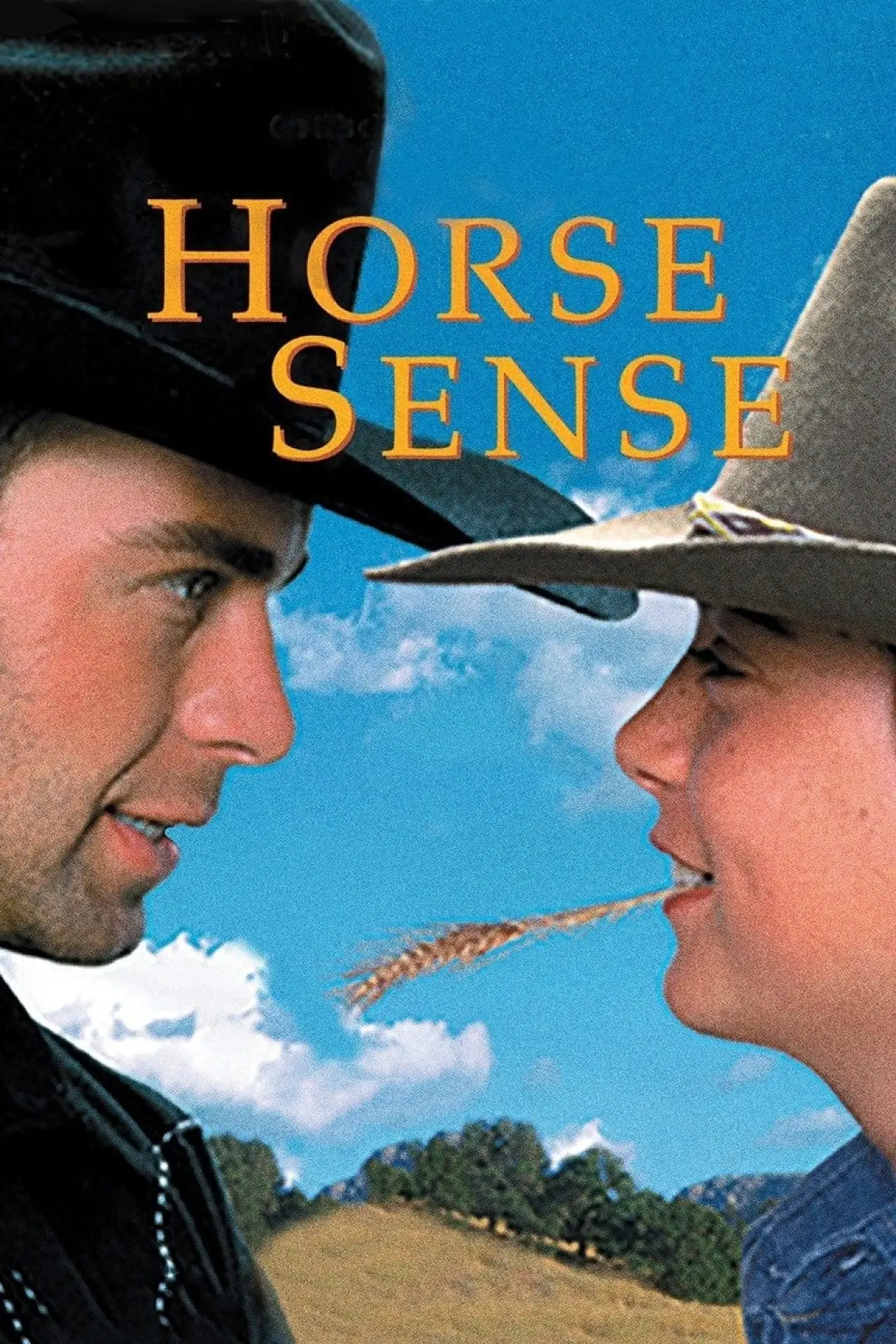 Plakat filmowy "Horse Sense"