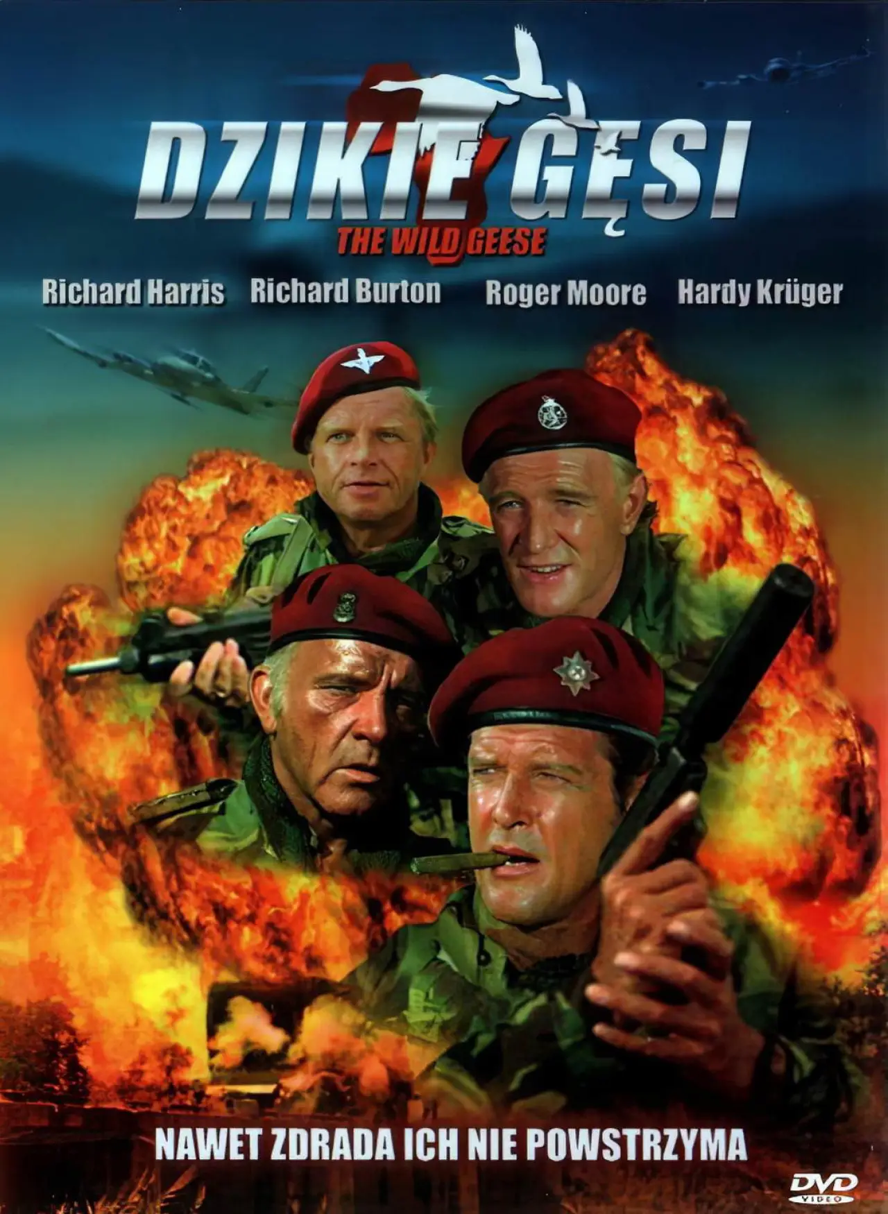 Plakat filmowy "Dzikie gęsi"