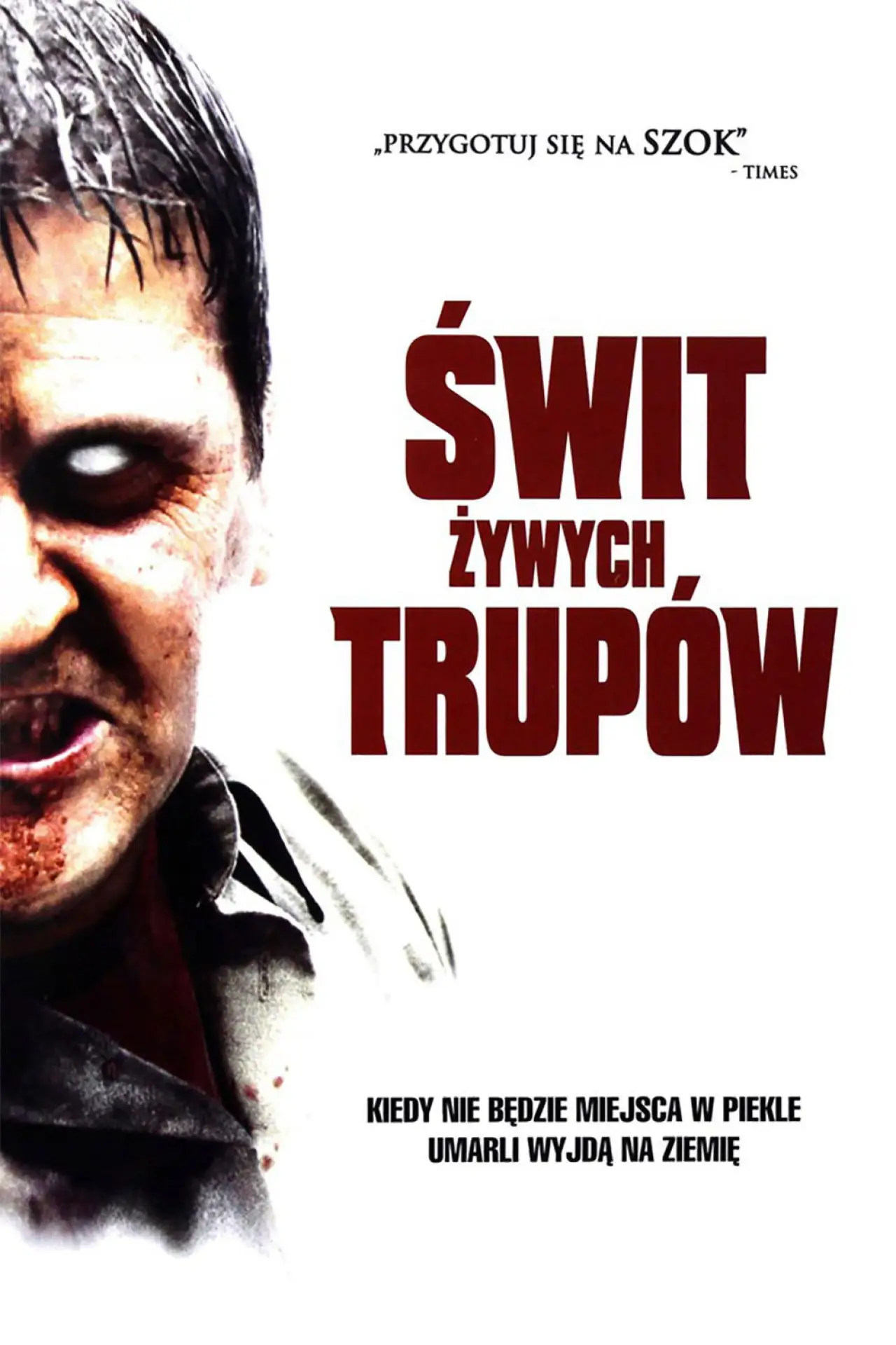 Plakat filmowy "Świt żywych trupów"