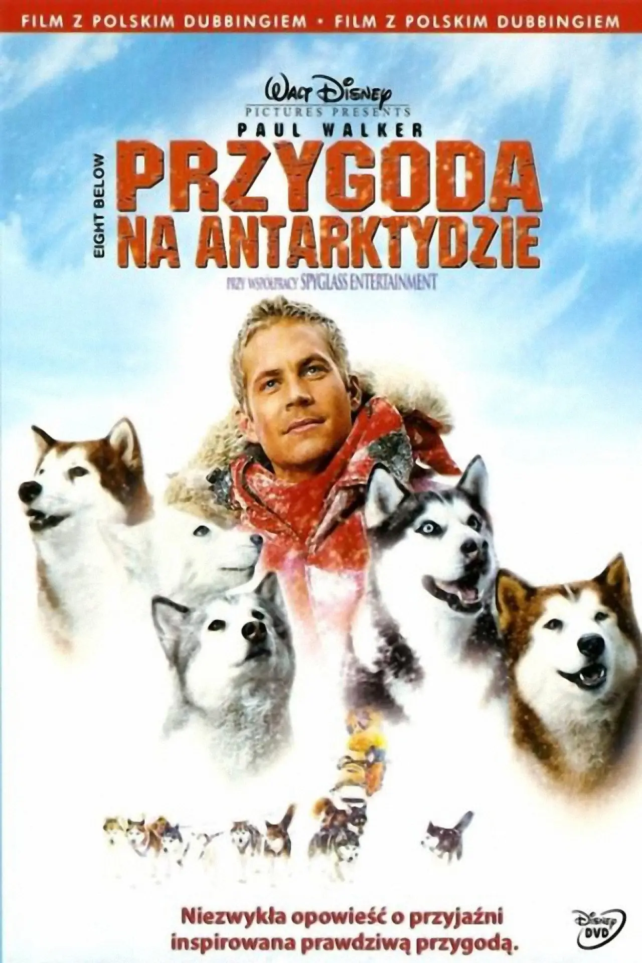 Plakat filmowy "Przygoda na Antarktydzie"