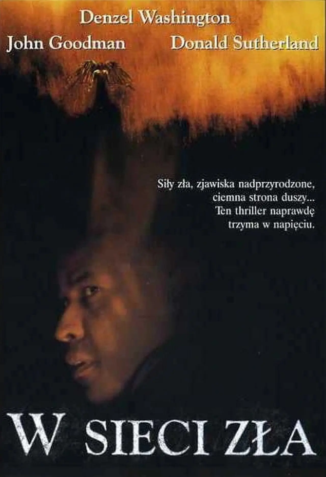 Plakat filmowy "W sieci zła"