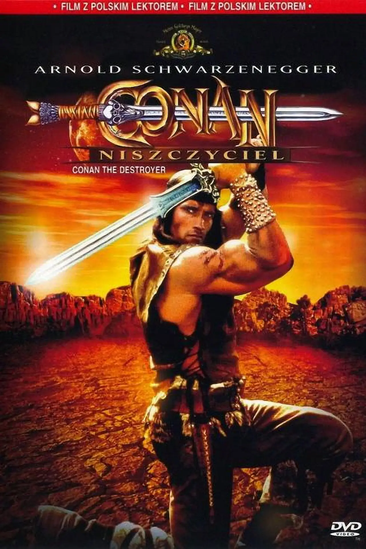 Plakat filmowy "Conan Niszczyciel"