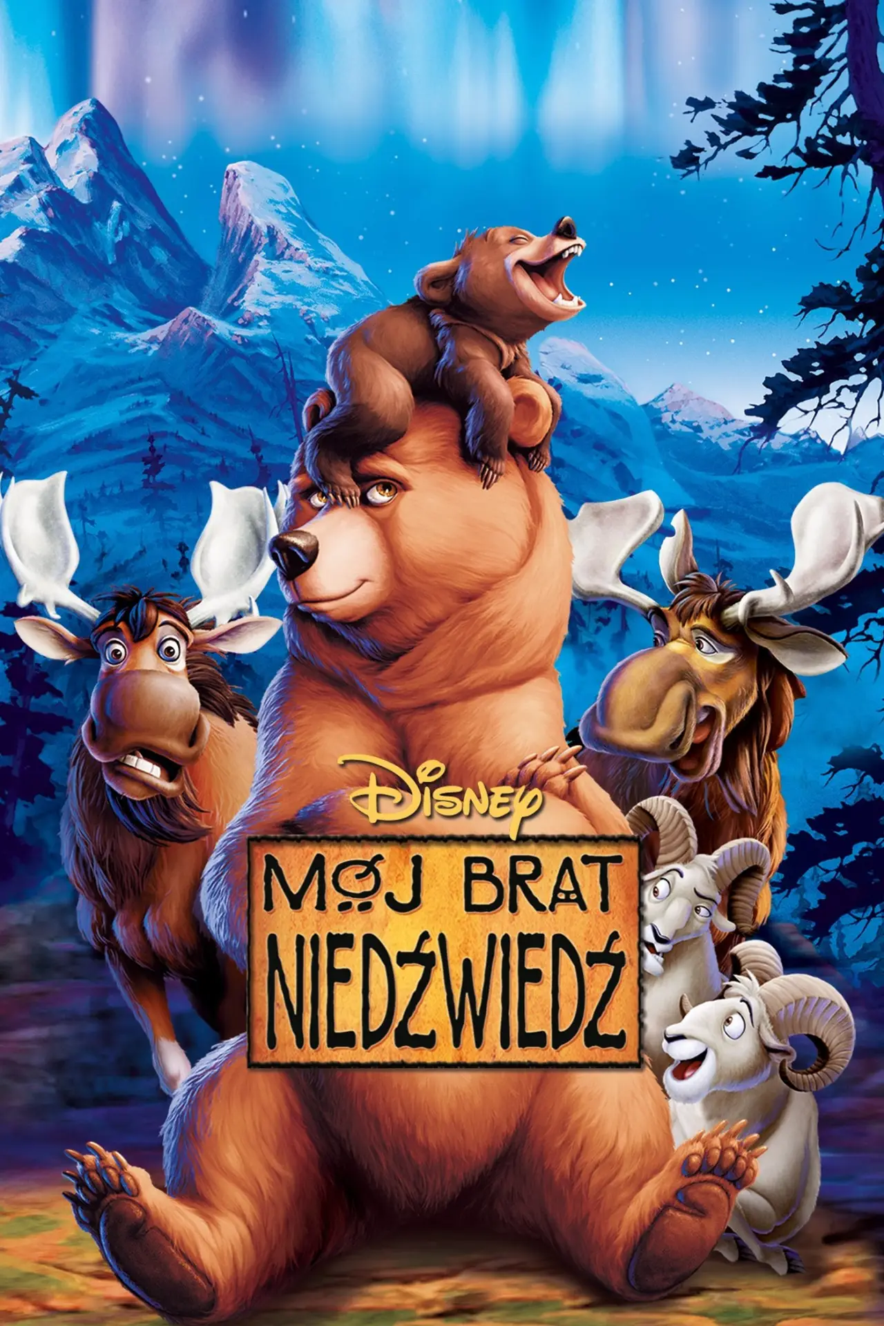 Plakat filmowy "Mój brat niedźwiedź"