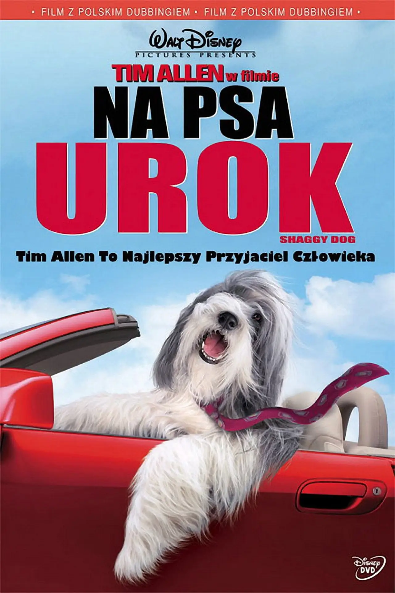 Plakat filmowy "Na psa urok"