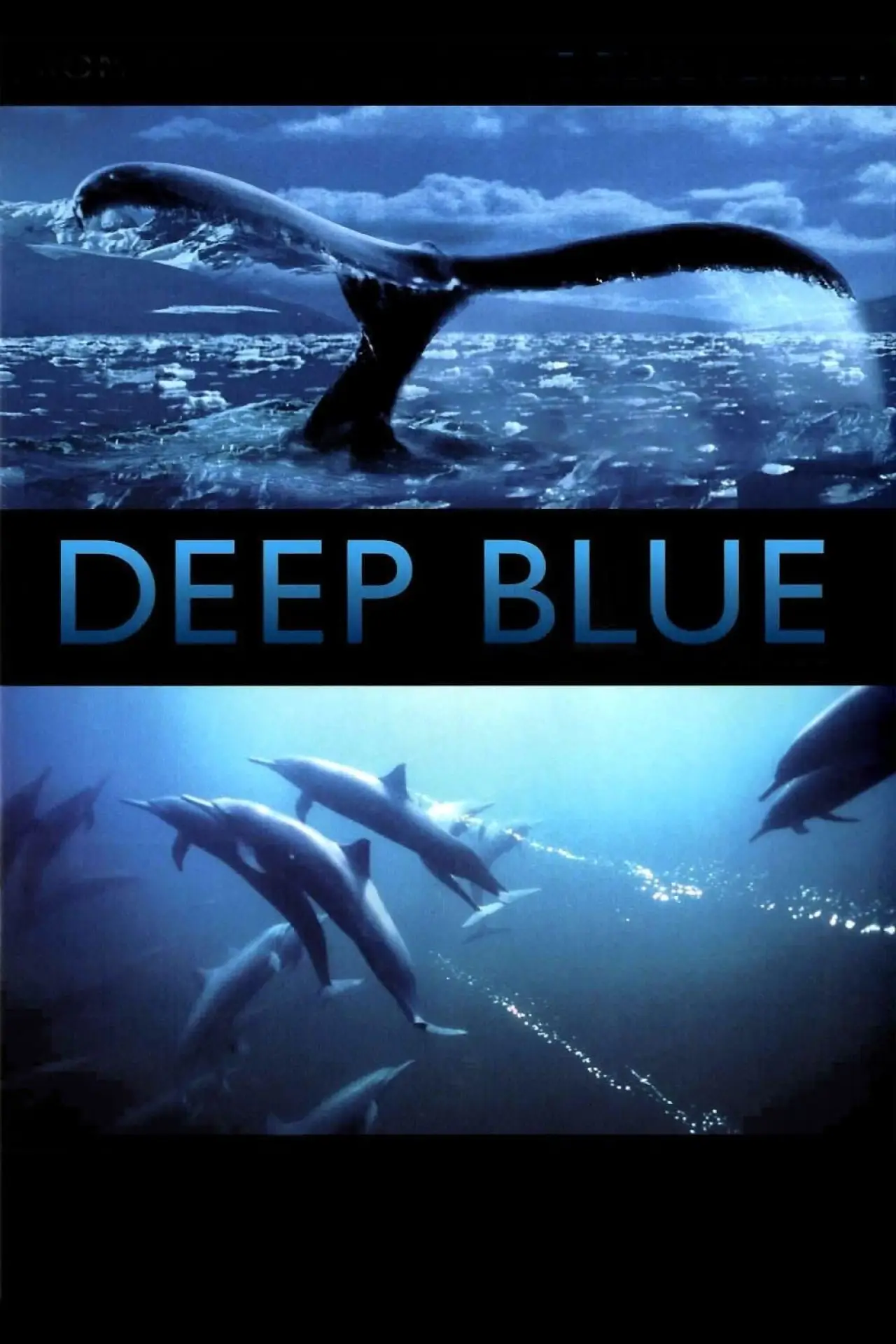 Plakat filmowy "Deep Blue"