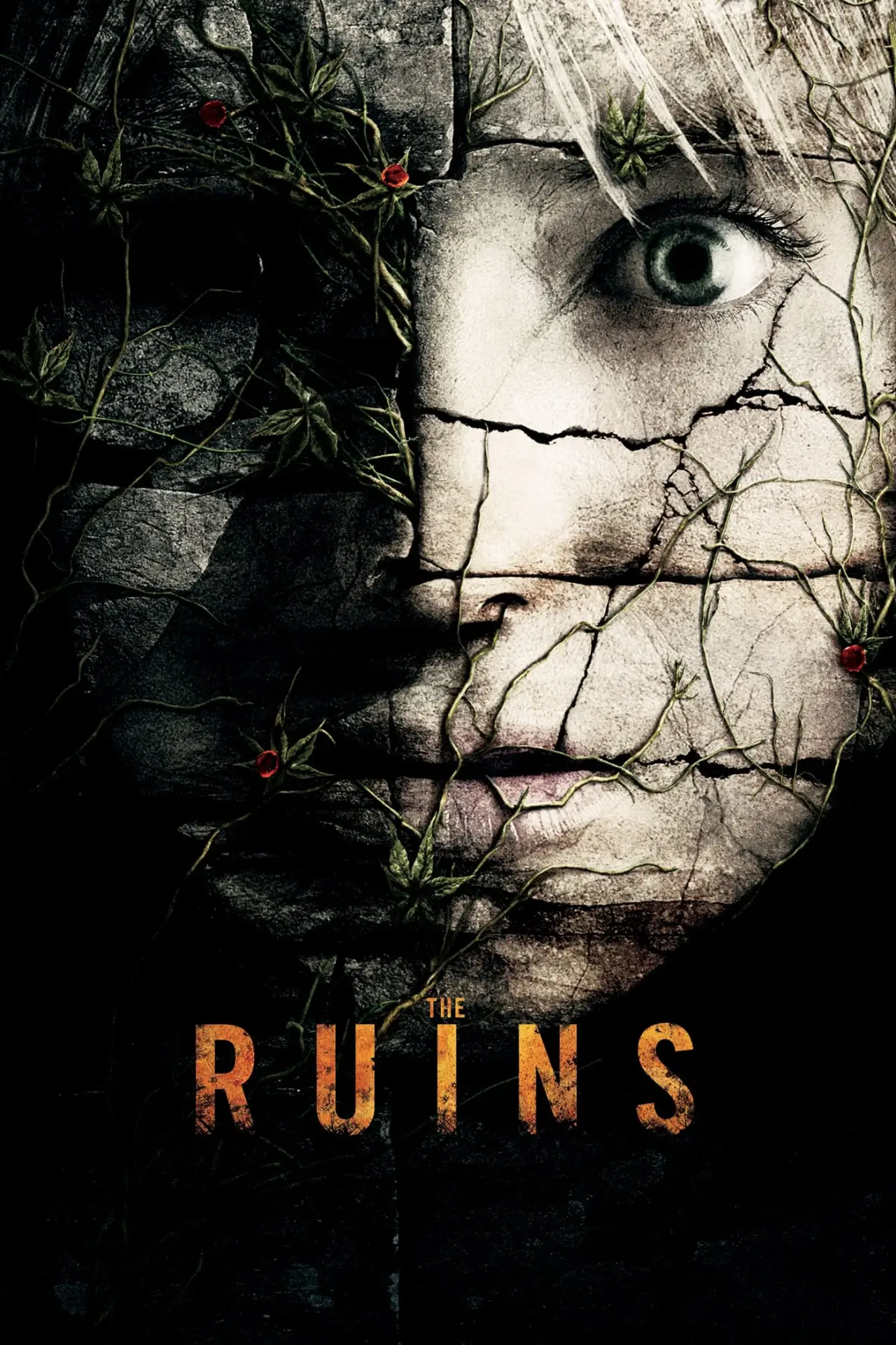 Plakat filmowy "Ruiny"