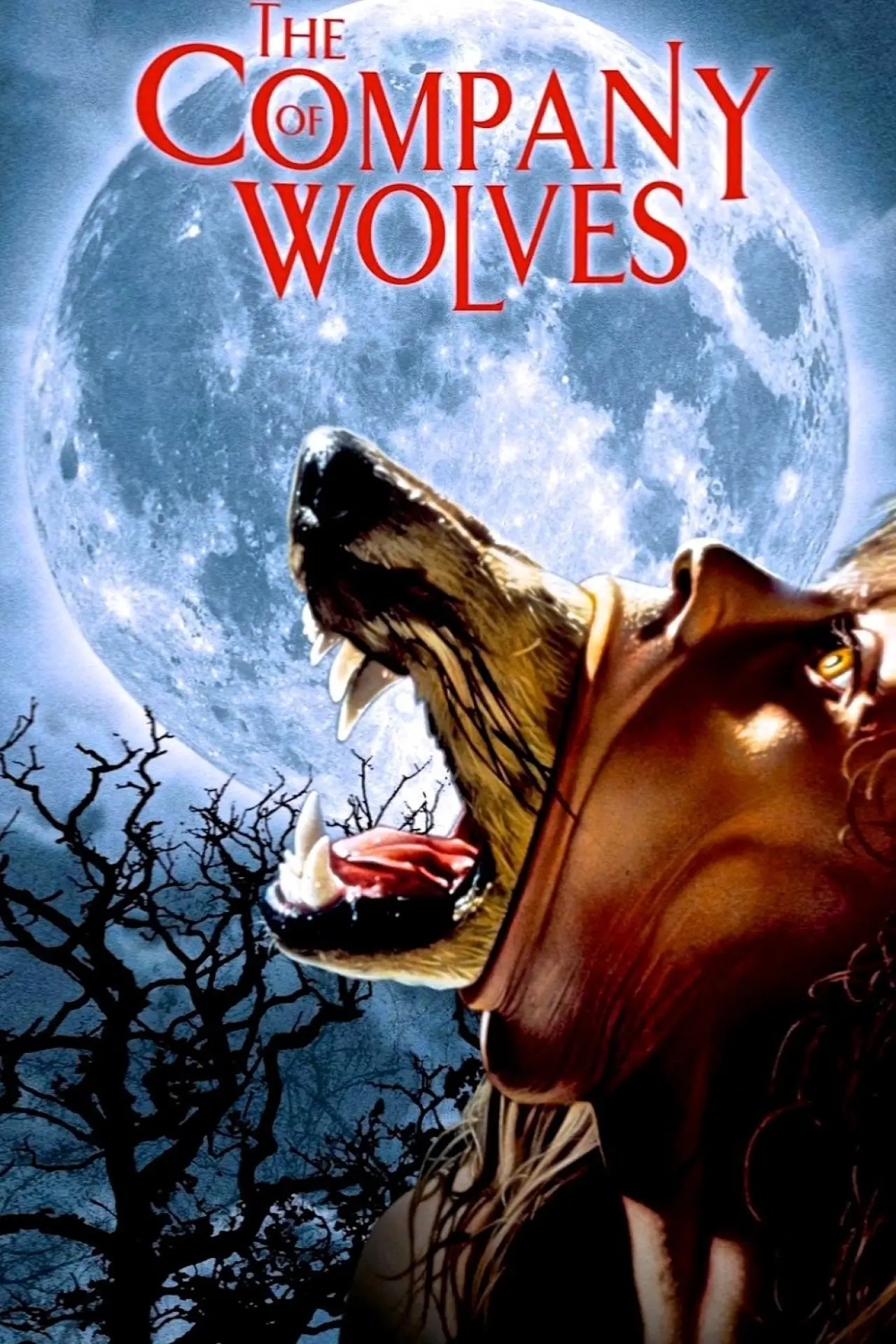 Plakat filmowy "Towarzystwo wilków"