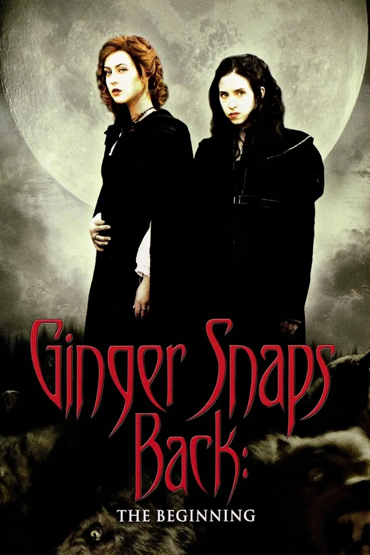 Plakat filmowy "Zdjęcia Ginger III: Początek"