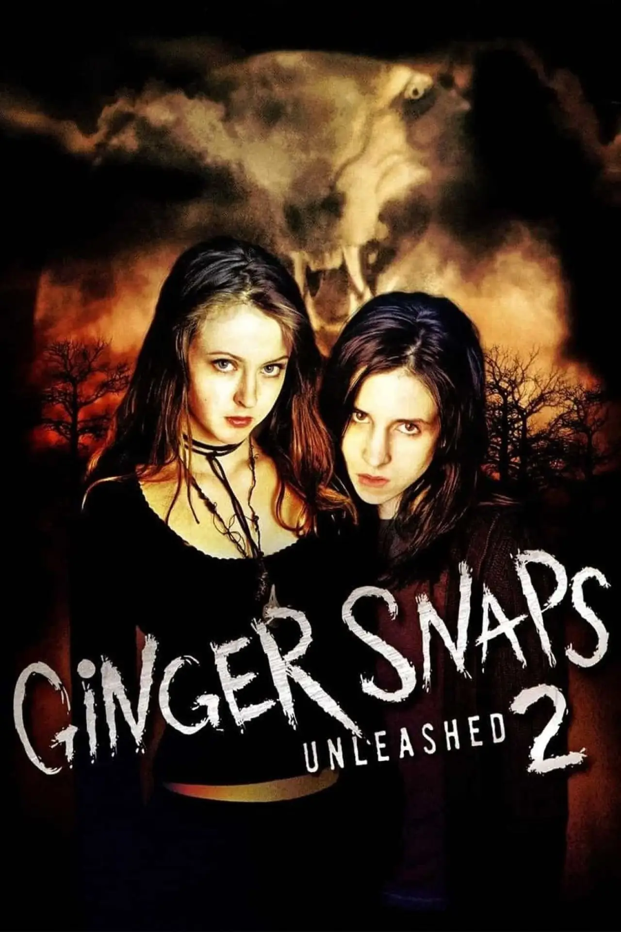 Plakat filmowy "Zdjęcia Ginger II"