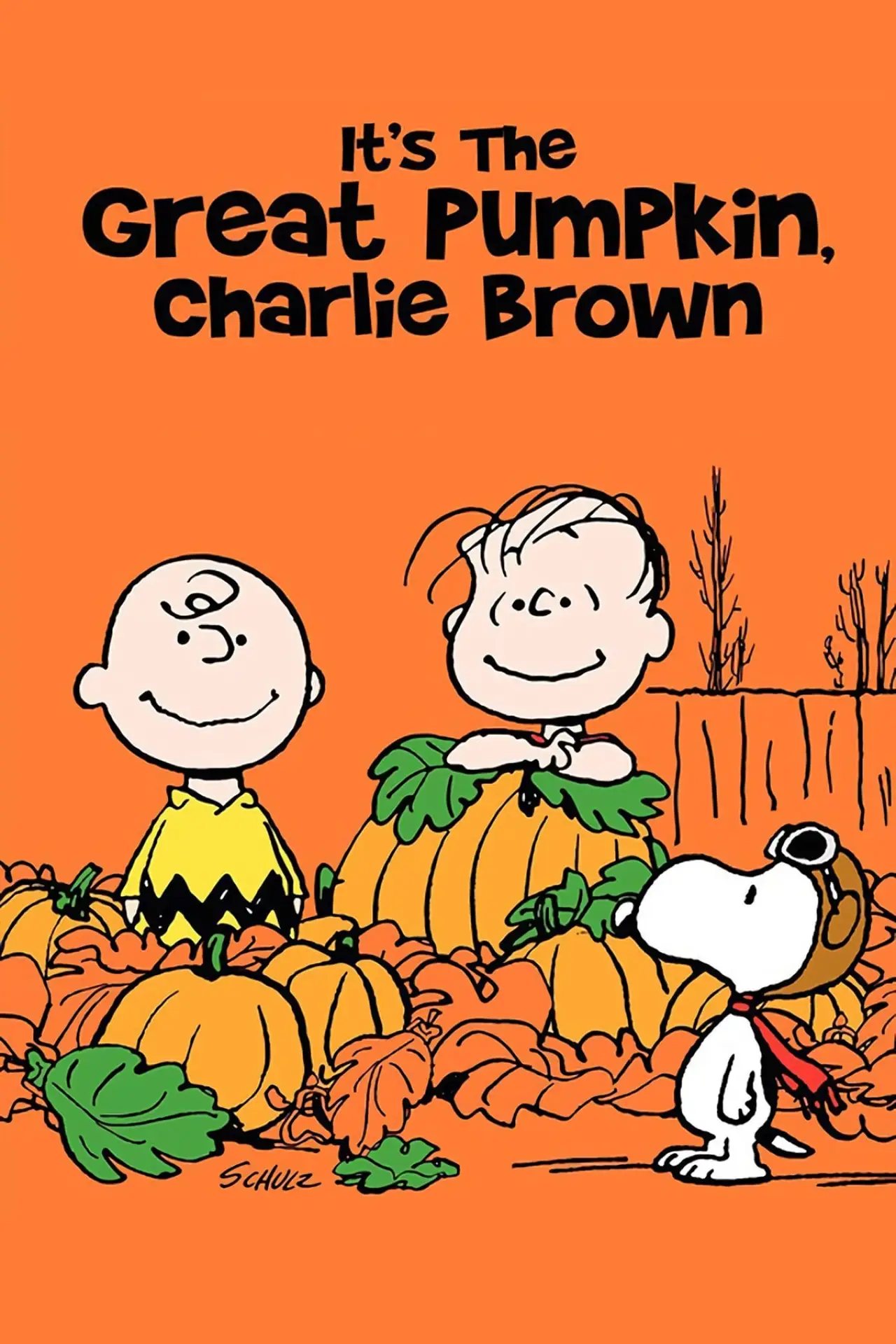 Plakat filmowy "Wspaniałe Halloween Charliego Browna"