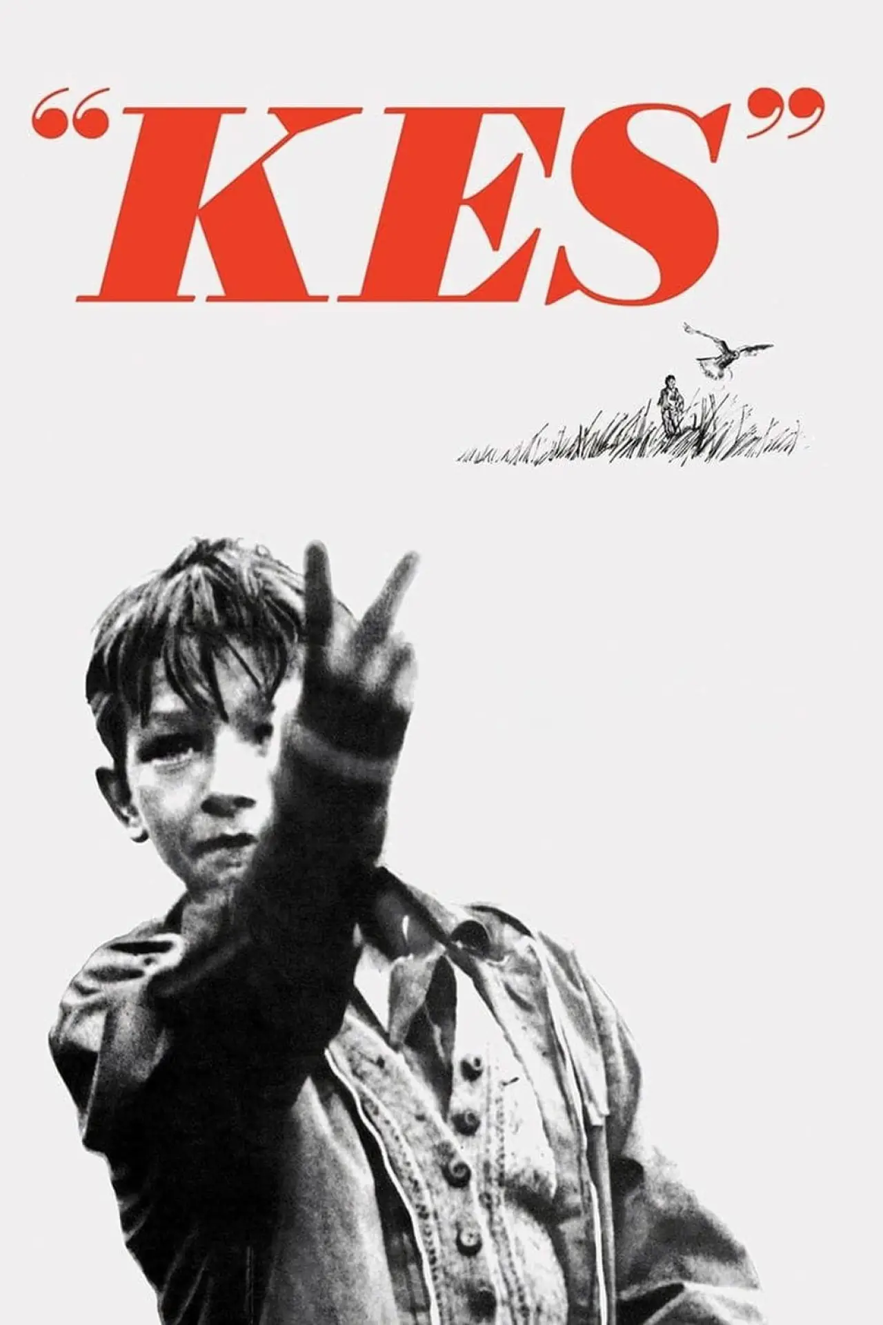 Plakat filmowy "Kes"