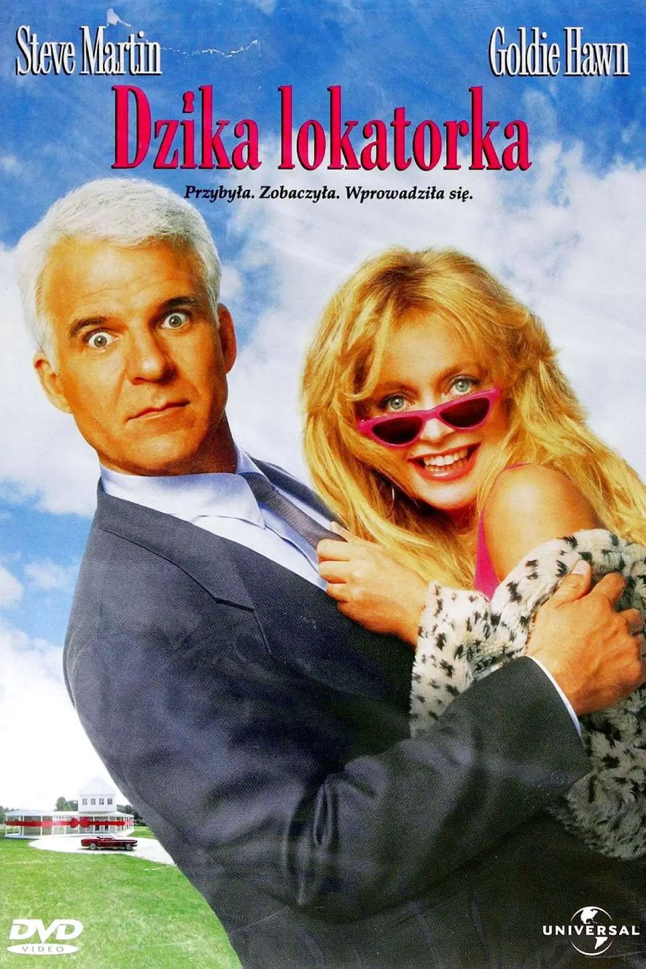Plakat filmowy "Dzika lokatorka"