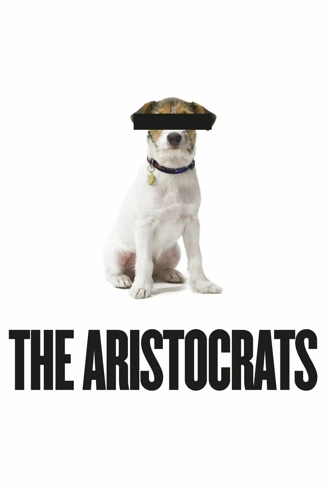 Plakat filmowy "The Aristocrats"