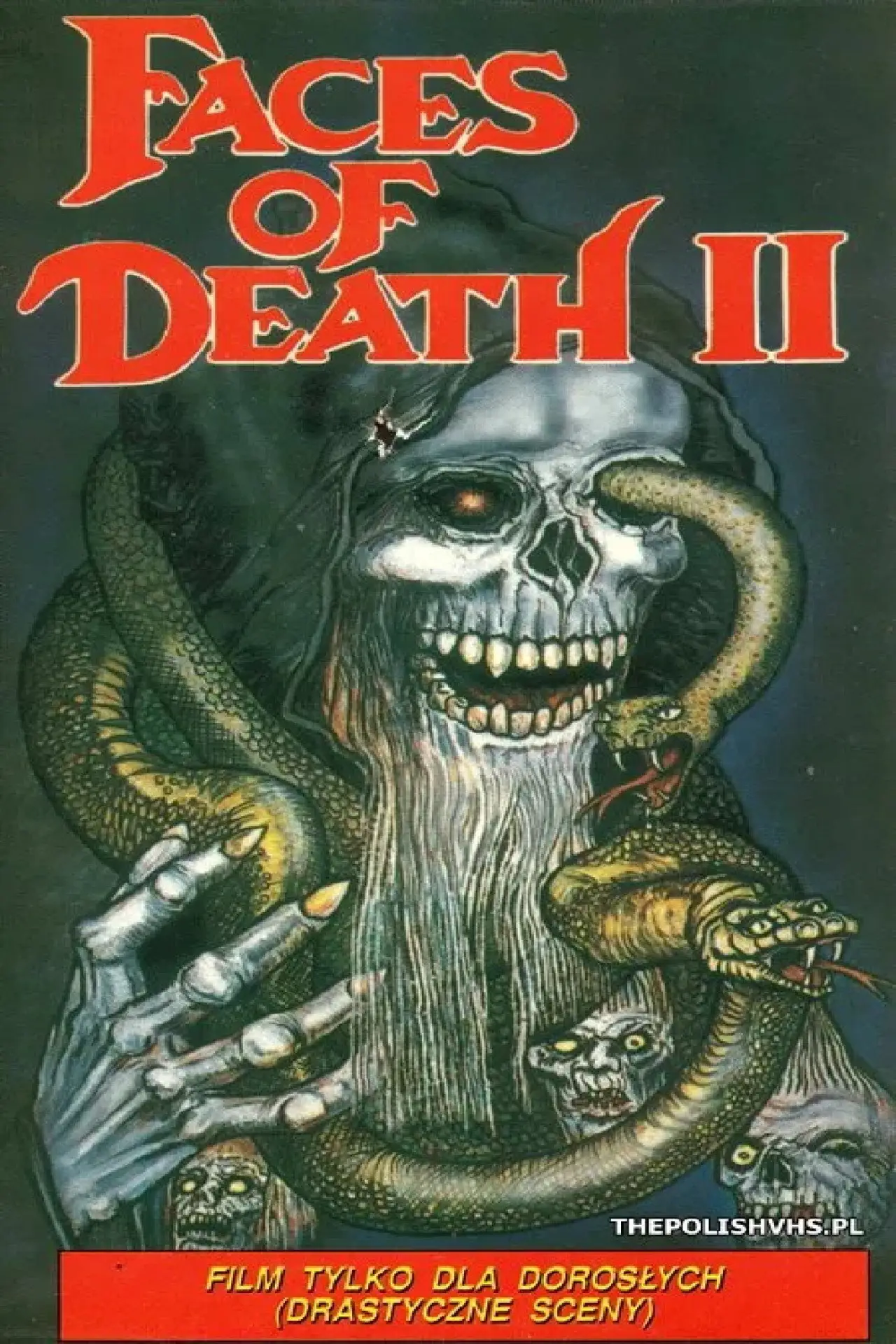 Plakat filmowy "Faces of Death II"