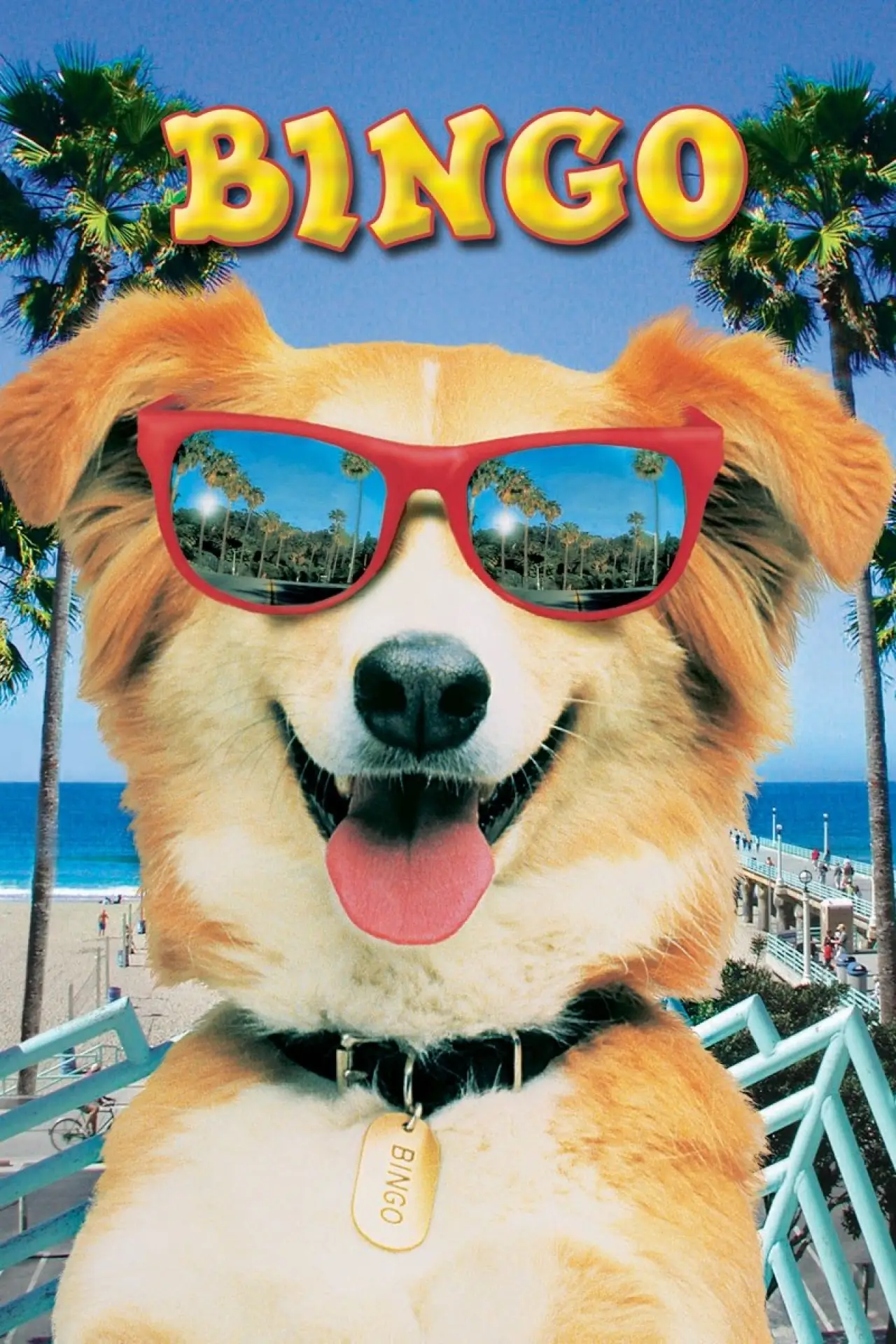Plakat filmowy "Bingo"