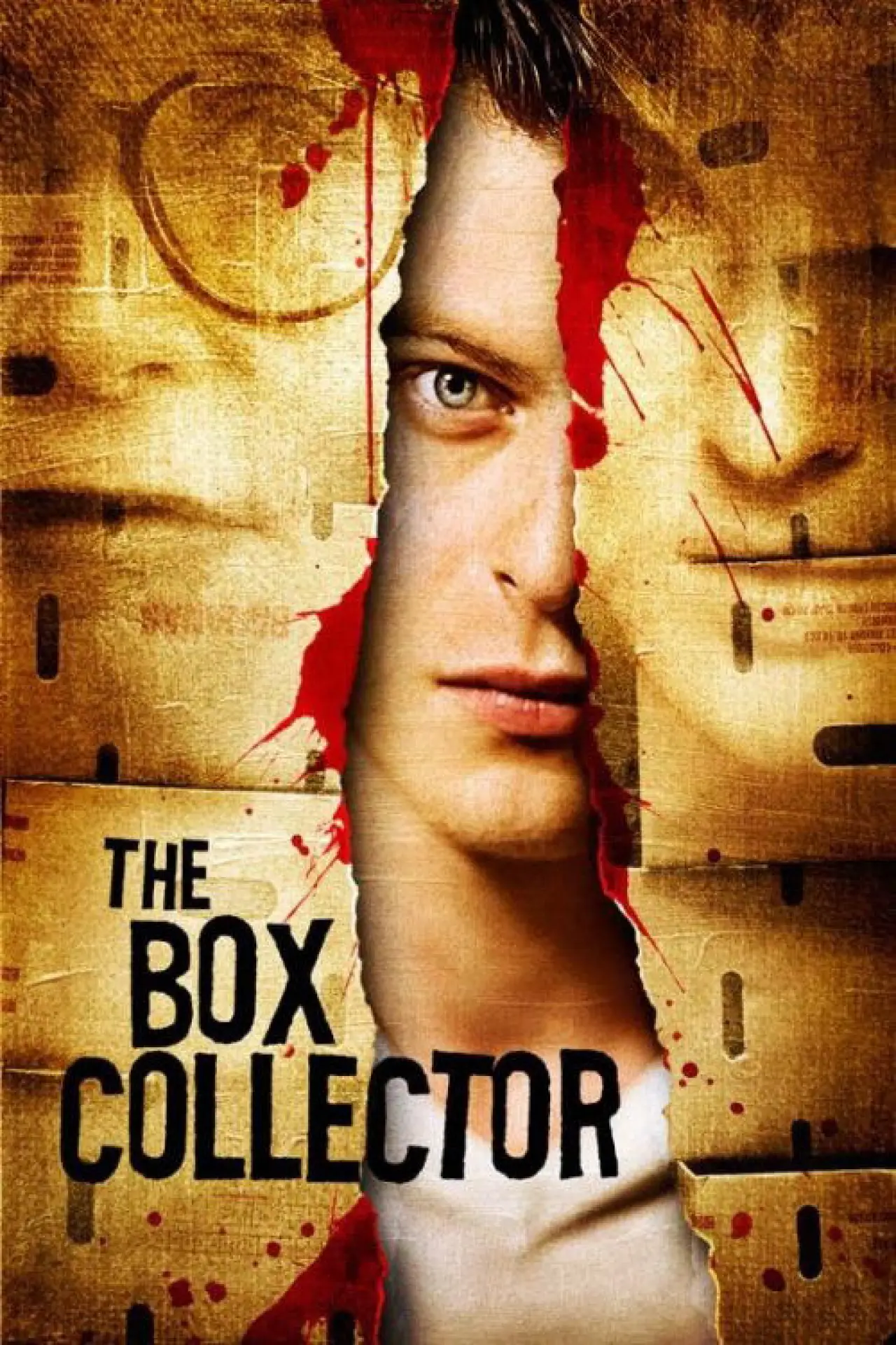 Plakat filmowy "The Box Collector"