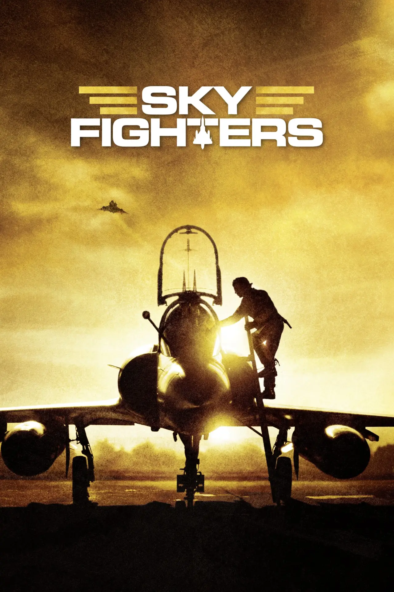Plakat filmowy "Sky Fighters"