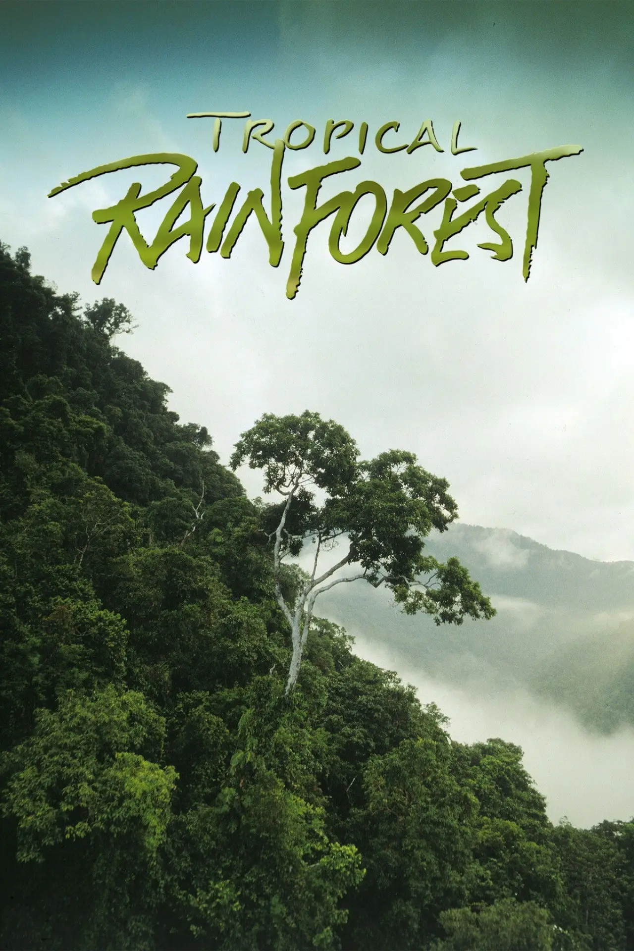 Plakat filmowy "Tropical Rainforest"