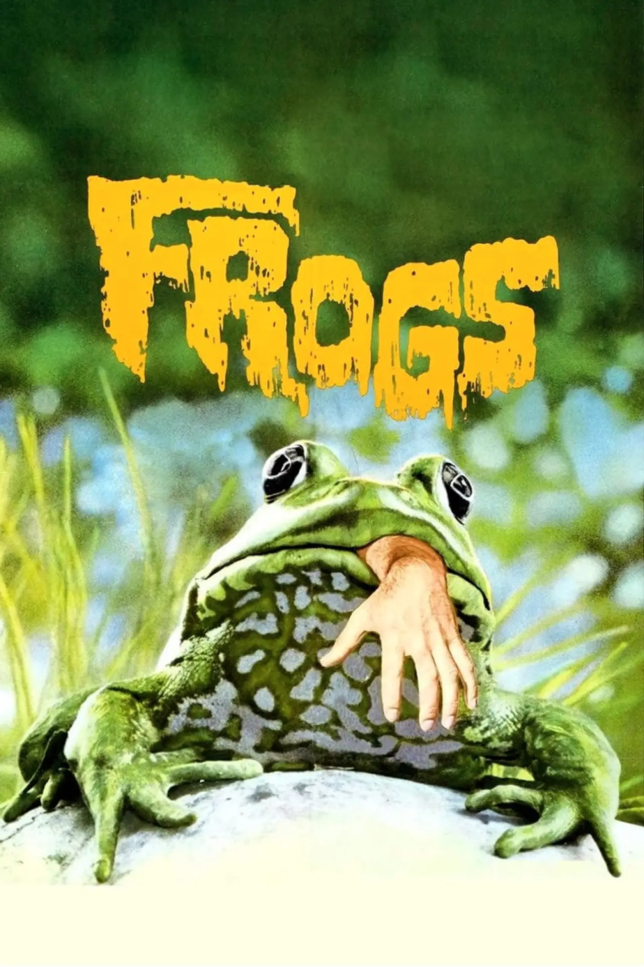 Plakat filmowy "Żaby"