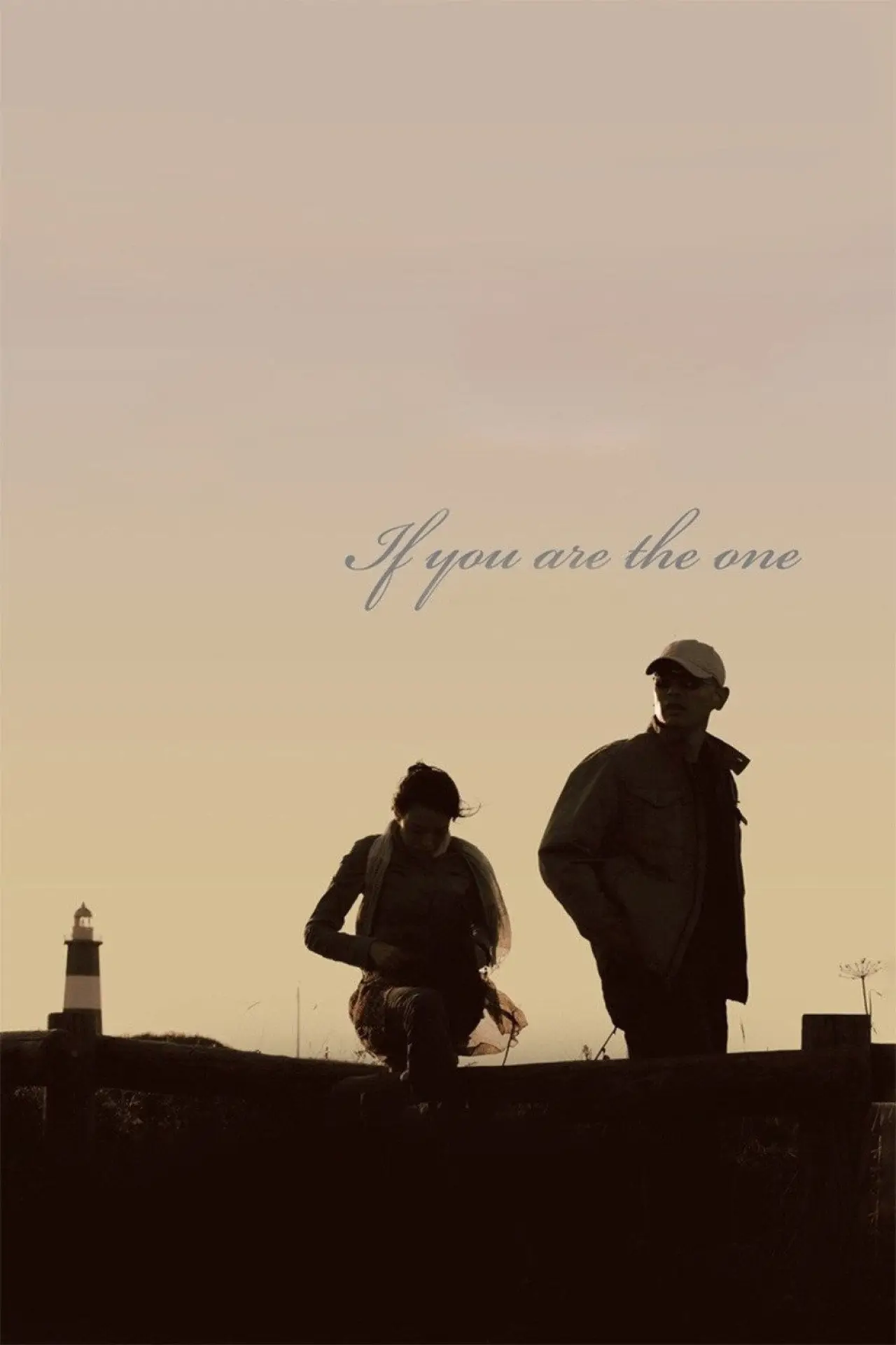 Plakat filmowy "非诚勿扰"